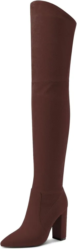 Castamere Womens High Heels Over The Knee Boots Sexy Pointy Toe Chunky Block 10CM Heel Boot with Zipper